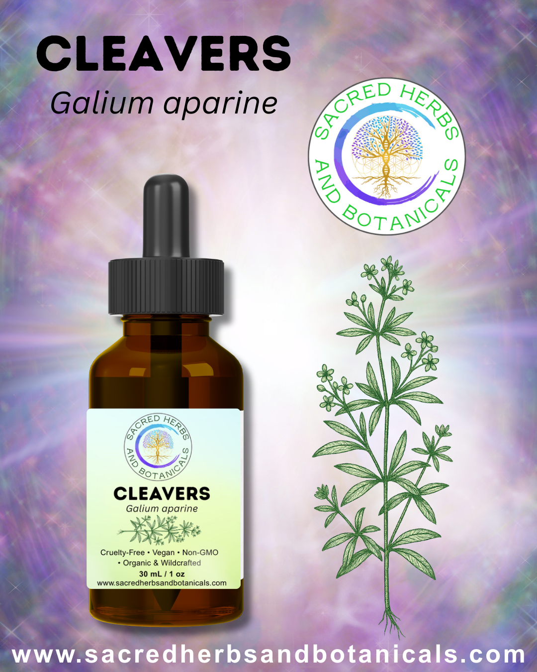 Cleavers Tincture