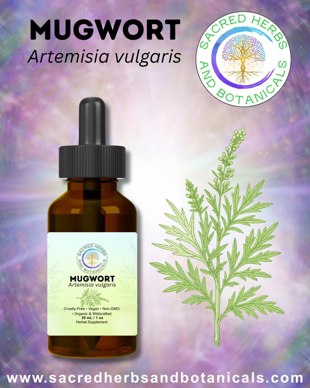 Mugwort Tincture