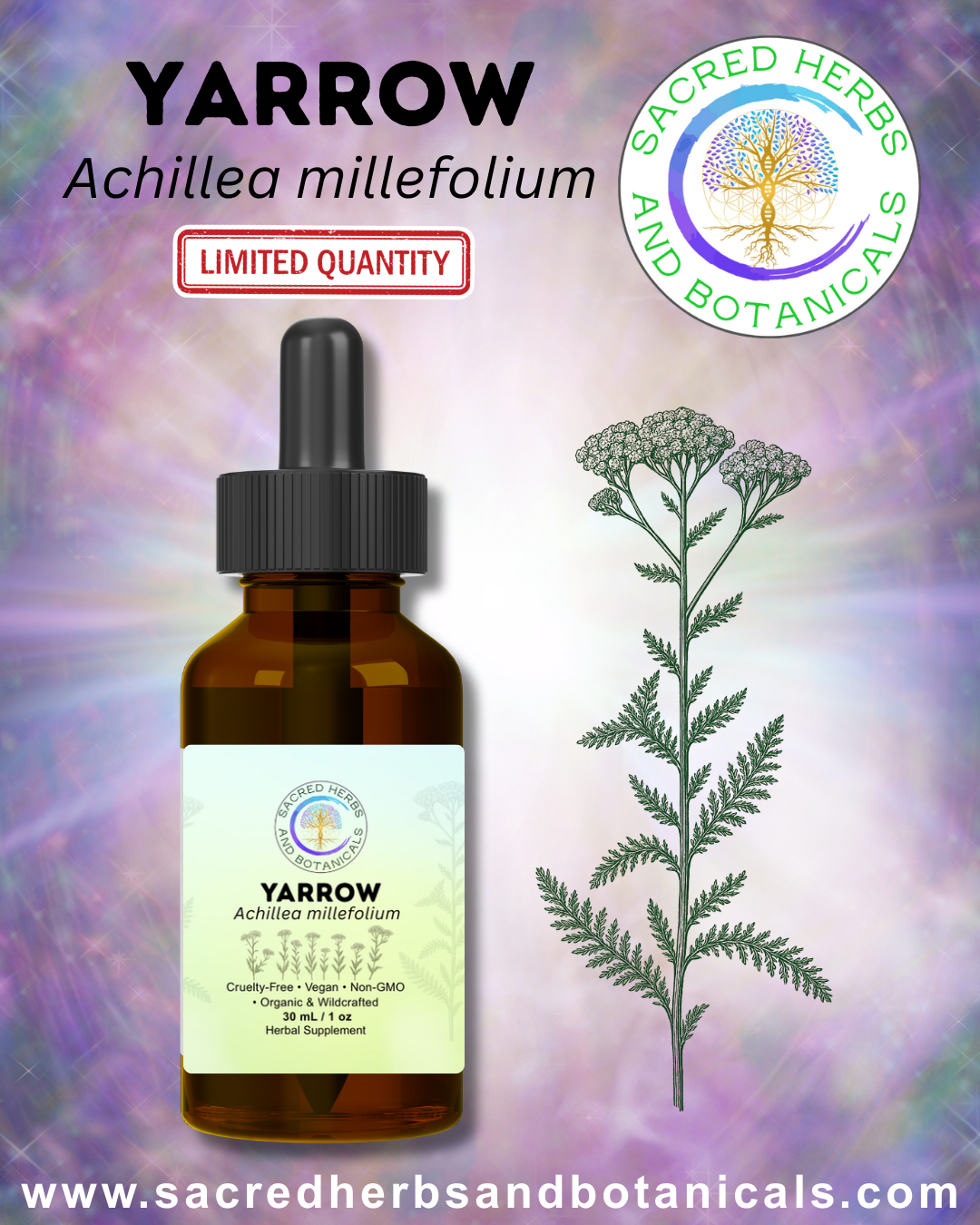 Yarrow Tincture