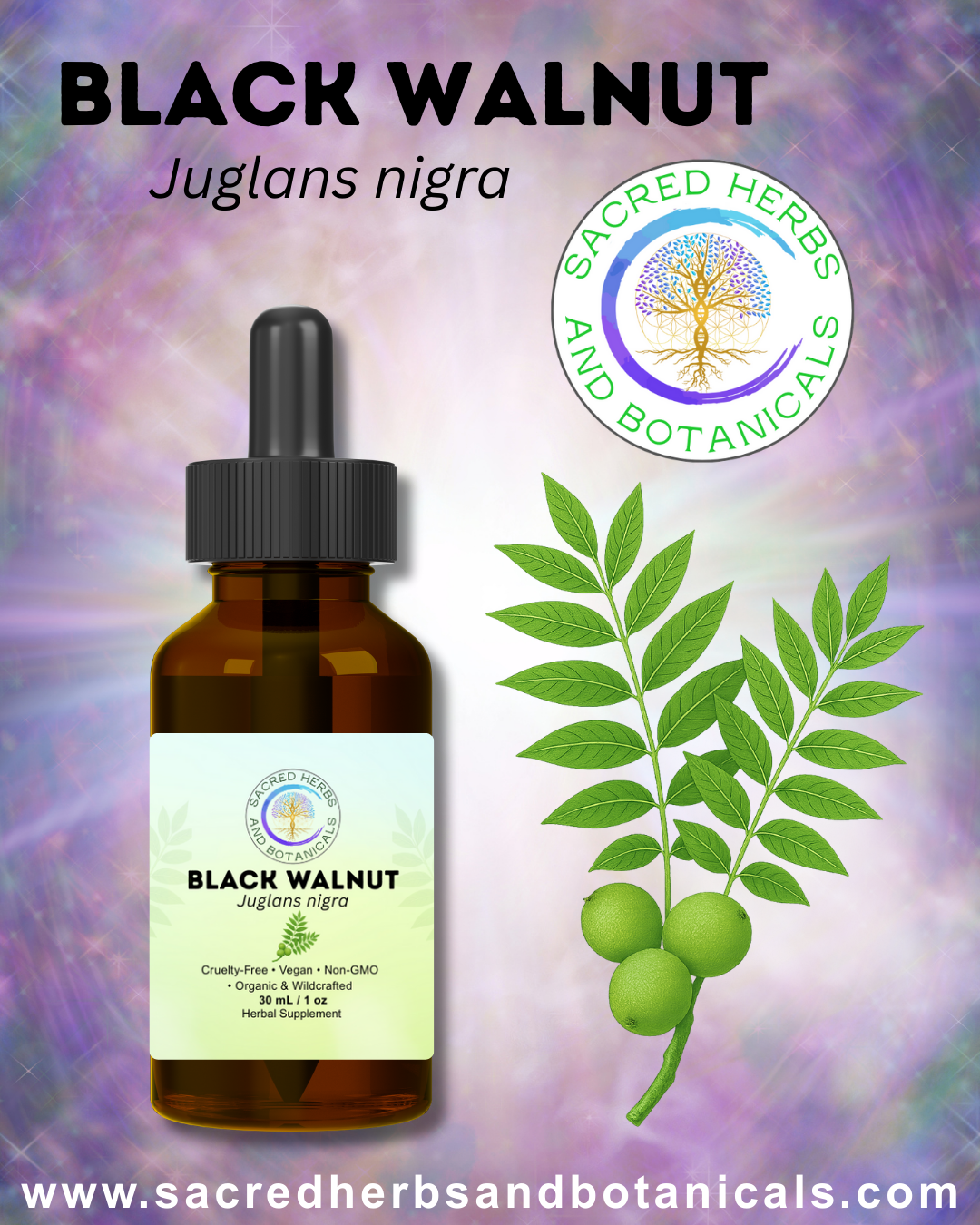Black Walnut Tincture